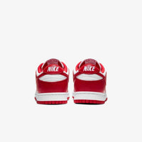 Nike Dunk Low SP ST.John's (2020)