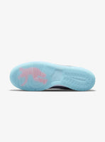 Nike Dunk Low “Union Passport Pack Argon”